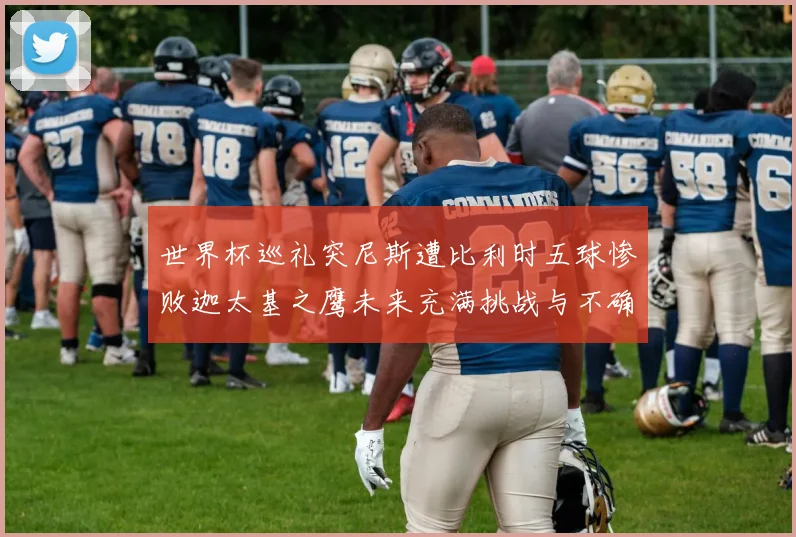 世界杯巡礼突尼斯遭比利时五球惨败迦太基之鹰未来充满挑战与不确定性