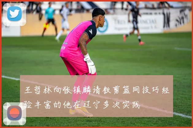 王哲林向张镇麟请教剪篮网技巧经验丰富的他在辽宁多次实践